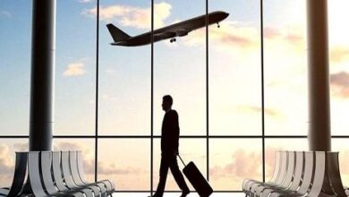 مهاجرت نخبگان و تأثیر آن در رسانه‌ها