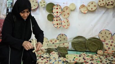 زنان موفق در شهرستانهای ایران: الگوهای نوین